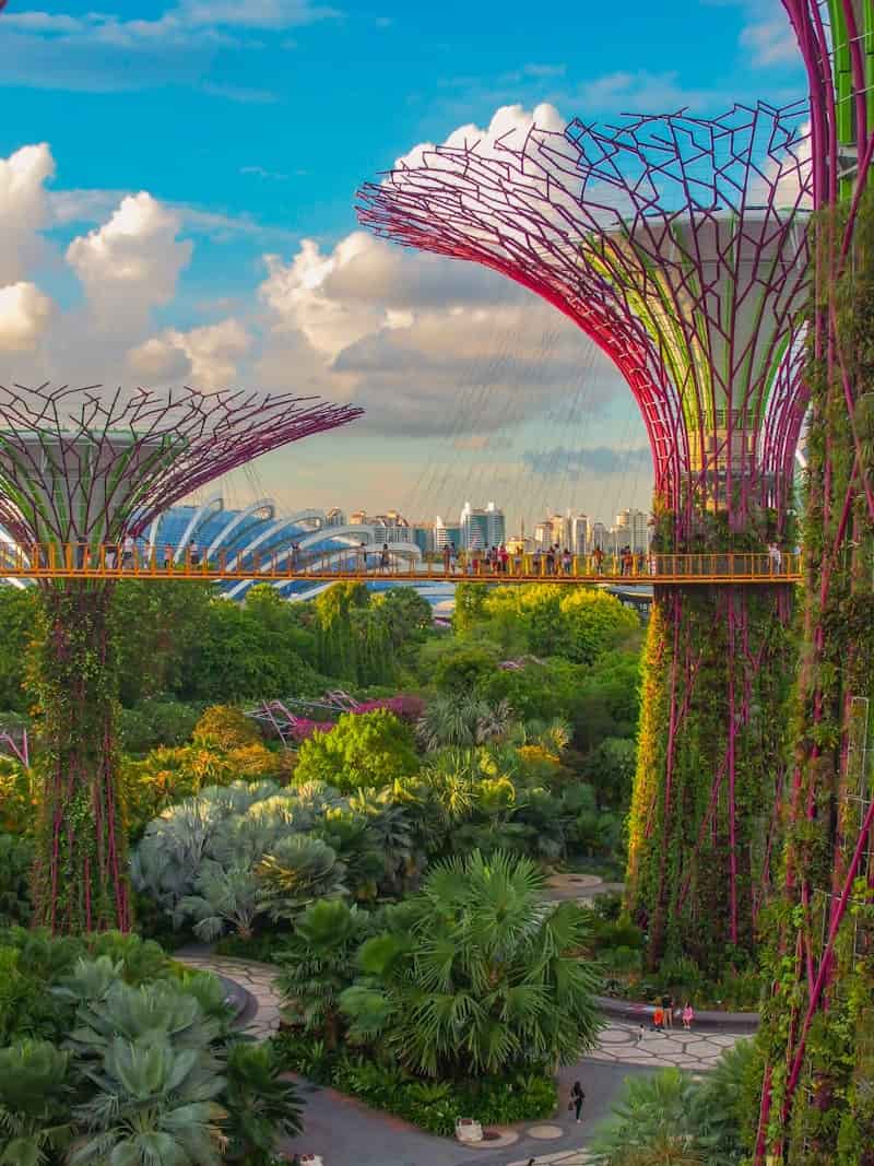 Singapore Study Abroad